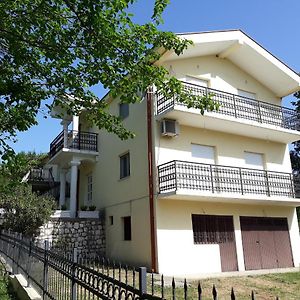 Villa Vila Frutak Danilovgrad Exterior photo