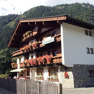 Hotel Gaestehaus Laerchenheim Mayrhofen Exterior photo