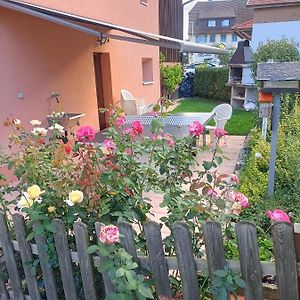 Bed and Breakfast Bnb Les Oiseaux, Chez Lidia, 26M2 A 44M2, 2Eme Etage Vendlincourt Exterior photo