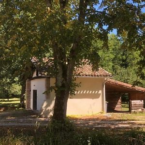 Ferienwohnung Eco-Gite En Pleine Nature Lisle-sur-Tarn Exterior photo