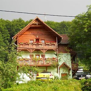 Hotel Vila Anna Sovata Exterior photo