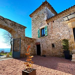 Bed and Breakfast Domaine De Lejos - Portes D'Albi Lamillarié Exterior photo