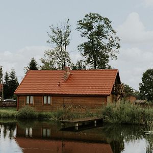 Villa Zielone Zagrody - Cieplice Adamowka Exterior photo