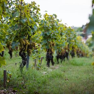 Villa Gite Au Milieu Des Vignes Prignac-et-Marcamps Exterior photo