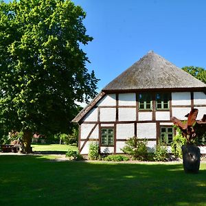 Hotel Alte Ausspanne Walkendorf Exterior photo