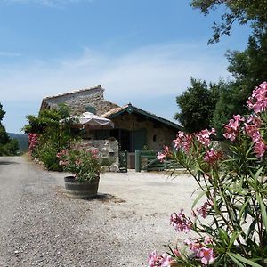 Bed and Breakfast Bergerie Balbonne Durban-Corbieres Exterior photo