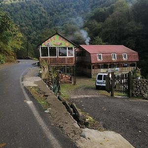 Mtirala Hotel Zipo Chakvistavi Exterior photo