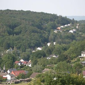 Villa Rech Hof Eifel Urlaub Schalkenbach Exterior photo