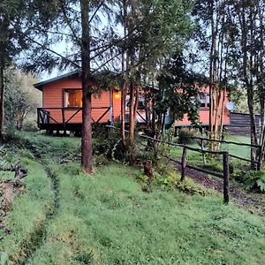 Gasthaus Casa O Habitacion En Carretera Austral Puerto Montt Exterior photo