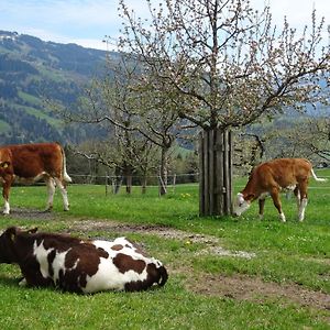 Villa Achrainer-Moosen Hopfgarten im Brixental Exterior photo