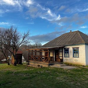 Villa Бабусина Хатка Leplyavo Exterior photo