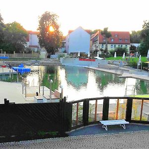 Villa Ferienhaus Strauss nahe der Kyffhäuser Therme Bad Frankenhausen/Kyffhäuser Exterior photo