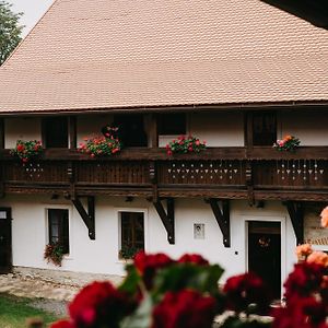 Hotel Statek Postolka Svitavy Exterior photo