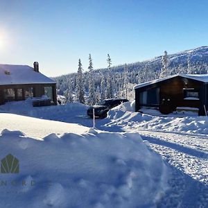 Lovely Winter Cottage In Vemdalen, Close To Skiing Exterior photo