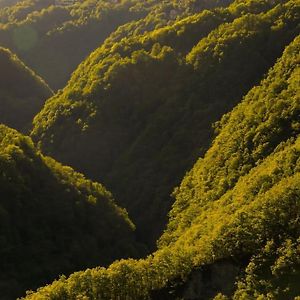 Ferienwohnung Wild Valley Ticino Vista In Valle Onsernone Auressio Exterior photo