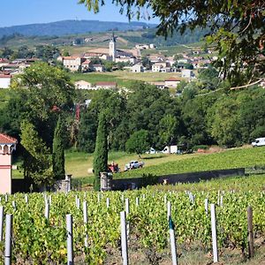 Villa Gite De La Vieille Vigne Fleurie Exterior photo