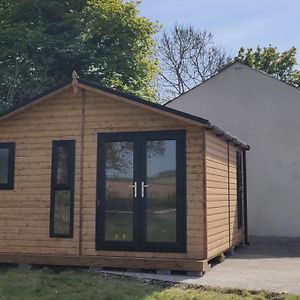 Villa Cosy Log Cabin With Views Of Scrabo Tower Comber Exterior photo