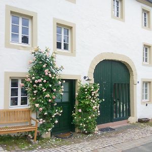 Ferienwohnung Living-in-History: Historischer Charme und Design Dudeldorf Exterior photo