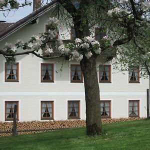 Ferienwohnung Moarhof Holzhausen Holzhausen  Exterior photo