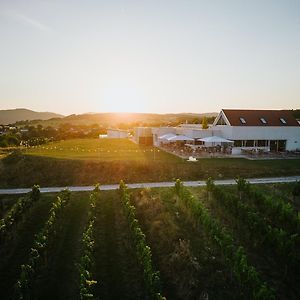 Hotel Weinblick & Weingut Grafinger Senftenberg Exterior photo