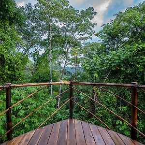 Jungle Gayborhood - Lgbtq Boutique Hotel And Retreat San Luis  Exterior photo