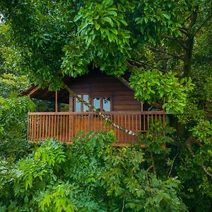 Ama Stays & Trails Hibiscus Villa , Wayanad Puthuppādi Exterior photo