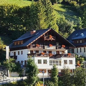 Appartmenthaus DIANA Bad Kleinkirchheim Exterior photo