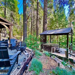 Villa Cabin In The Trees - Hot Tub Pollock Pines Exterior photo