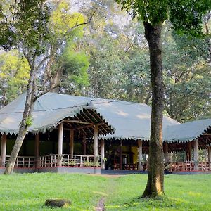 900 Woods Wayanad Eco Resort - A Sprawling Jungle Stay Near Glass Bridge Meppādi Exterior photo