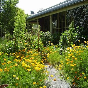 Motel Holly Lane Mews Yarra Glen Exterior photo