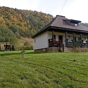 Villa Casuta Din Rusca Sebesu de Jos Exterior photo