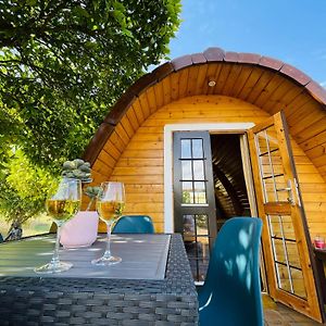 Gasthaus The Gold Pod, Relax And Enjoy On A Glamping House Corredoura Exterior photo