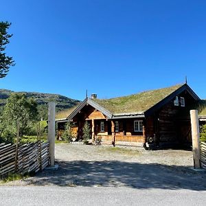 Villa Solsetra - Mountain Majesty Family Log Cabin Hovden  Exterior photo