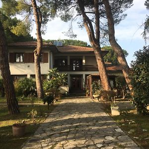 Beau Rivage - Suite Apartment In Villa SantʼArcangelo di Romagna Exterior photo
