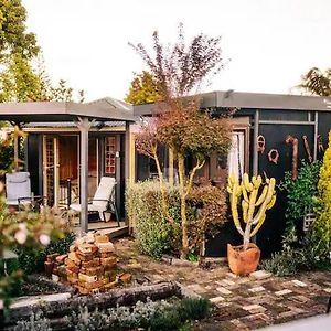 Villa Starry Nights Cabin Fever Waikino Exterior photo