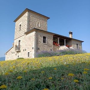 Villa Agriturismo Torre Gialluise Gesualdo Exterior photo