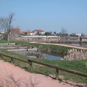 Villa Gite Charmant Avec Etang Prive, Cheminee, Draps Inclus, Jardin Clos A Montbrison - Fr-1-496-158 Exterior photo