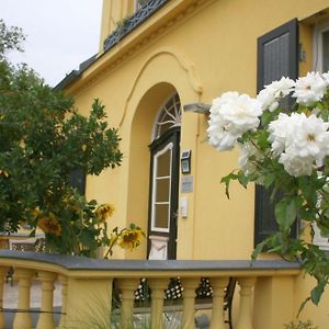 Ferienwohnung Gutshaus mit Seeblick - ökologisch&nachhaltig Lubow Exterior photo