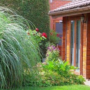 Bed and Breakfast House Rhodopi Maldegem Exterior photo