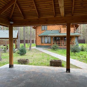 Villa Greenhousevip Voropayev Exterior photo