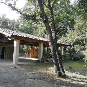 Ferienwohnung L'Atelier En Cevennes - Logement 55M2 Deaux Exterior photo