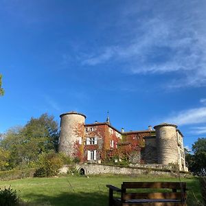 Bed and Breakfast Chateau De Montcuquet Lautrec Exterior photo