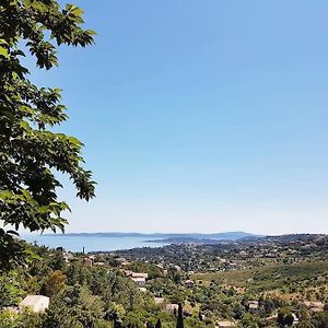 Le Petit Bonheur - Location De Vacances Roquebrune-sur Argens Exterior photo
