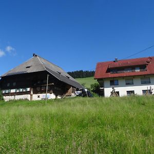 Ferienwohnung Hinterbauernhof Fewo Kuhgefluster Stegen Exterior photo