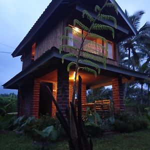 Coconut Homestay Tetebatu Exterior photo
