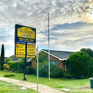 Golden Grain Motor Inn Tamworth Exterior photo