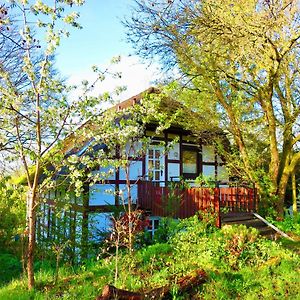 Ferienwohnung Natururlaub Frankenau Exterior photo