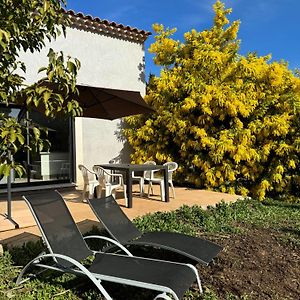 Villa Gite La Crau & Piscine - Oliveraie Bio Mas De Cargane Entressen Exterior photo