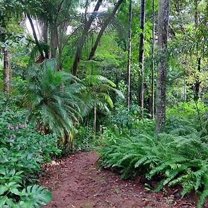 Villa Rainforest Retreat-Fireplace-Bbq-3 Acres- Nambour Exterior photo