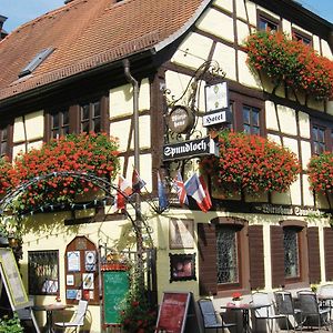 Spundloch- das Hotel&Weinrestaurant Veitshöchheim Exterior photo